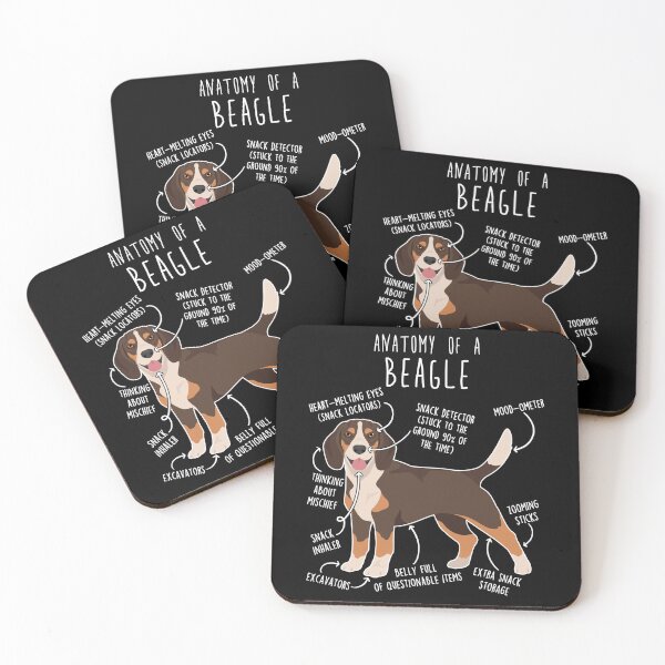 Item preview, Chocolate Beagle Dog Anatomy designed and sold by Clara Hollins.