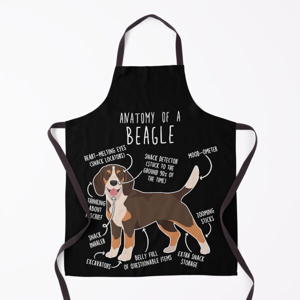 Artikelvorschau, Anatomie des Schokoladen-Beagles entworfen und verkauft von Clara Hollins.