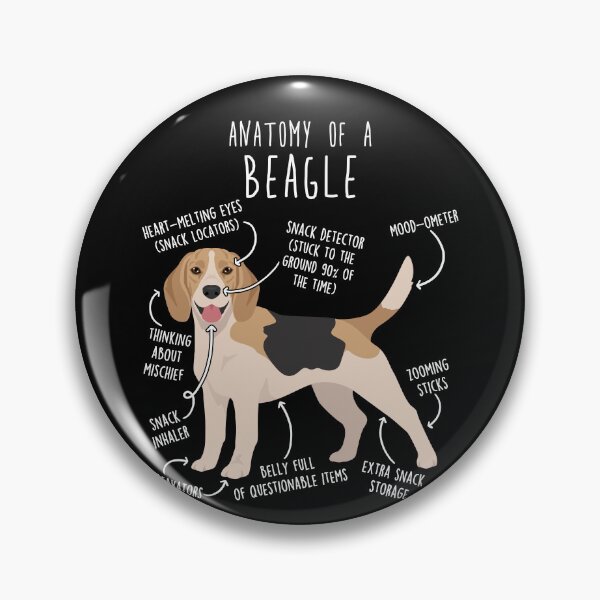 Artikelvorschau, Anatomie des Beagle-Hundes (Fawn) entworfen und verkauft von Clara Hollins.