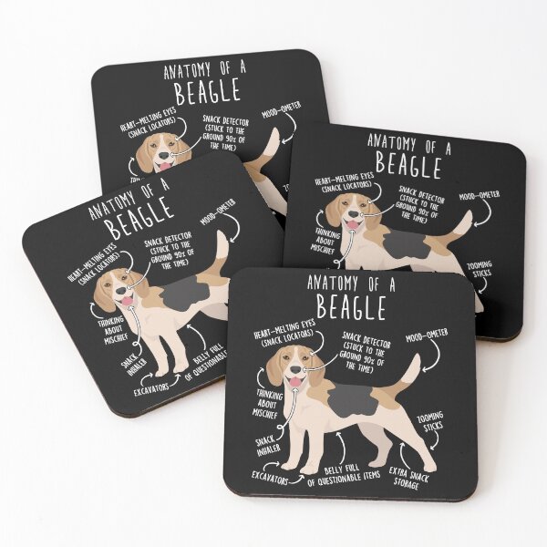 Item preview, Fawn Beagle Dog Anatomy designed and sold by Clara Hollins.