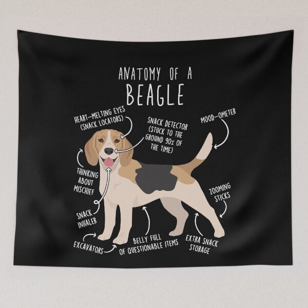 Item preview, Fawn Beagle Dog Anatomy designed and sold by Clara Hollins.