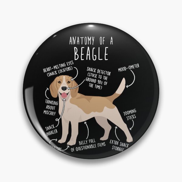 Artikelvorschau, Anatomie des Lemon Beagle Hundes entworfen und verkauft von Clara Hollins.