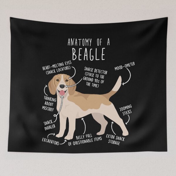 Item preview, Lemon Beagle Dog Anatomy designed and sold by Clara Hollins.