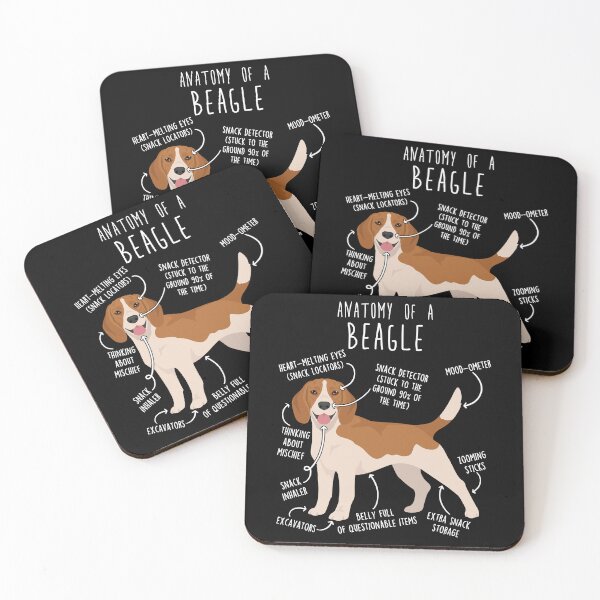Item preview, Red and White Beagle Dog Anatomy designed and sold by Clara Hollins.