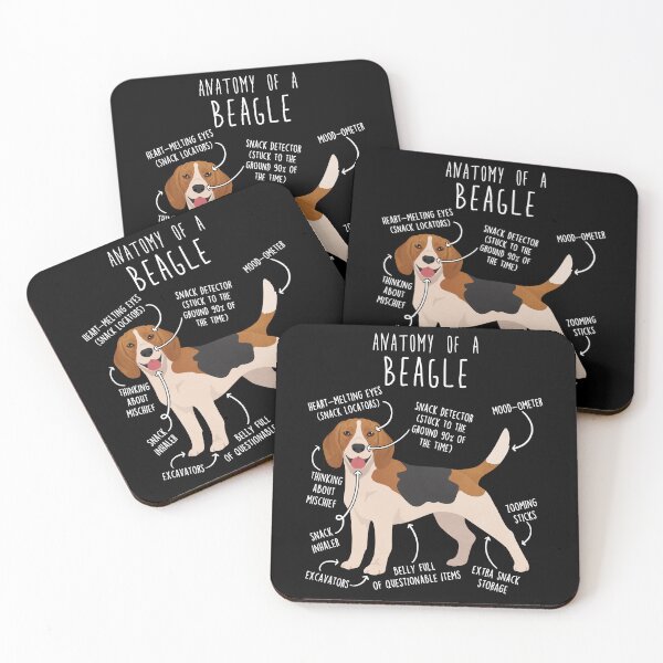 Item preview, Beagle Dog Anatomy designed and sold by Clara Hollins.