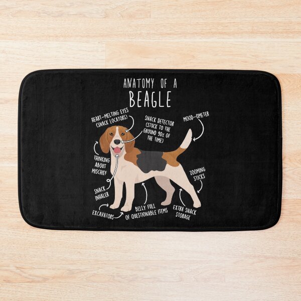 Artikelvorschau, Anatomie des Beagle-Hundes entworfen und verkauft von Clara Hollins.