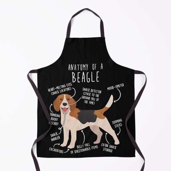 Item preview, Beagle Dog Anatomy designed and sold by Clara Hollins.