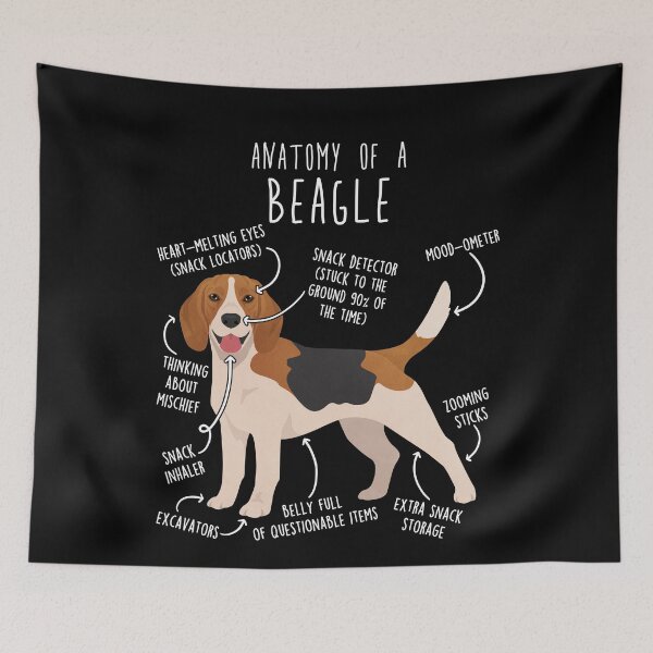 Item preview, Beagle Dog Anatomy designed and sold by Clara Hollins.