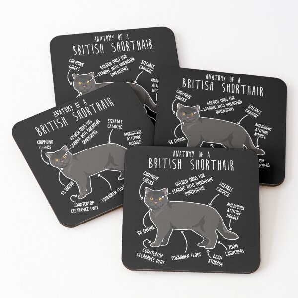 Item preview, Black British Shorthair Cat Anatomy designed and sold by Clara Hollins.