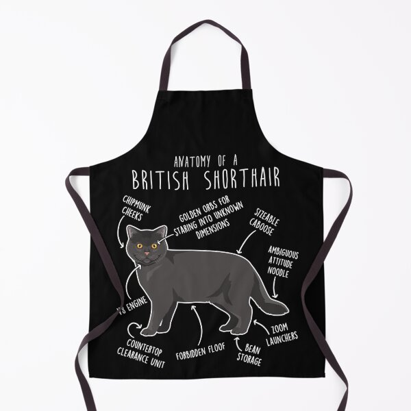 Item preview, Black British Shorthair Cat Anatomy designed and sold by Clara Hollins.