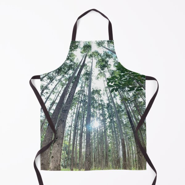 Item preview, Sunlight Through Tall Forest Trees – Nature Photography designed and sold by TrisaThyme.