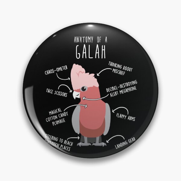 Item preview, Galah Cockatoo Anatomy designed and sold by Clara Hollins.