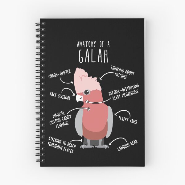 Item preview, Galah Cockatoo Anatomy designed and sold by Clara Hollins.