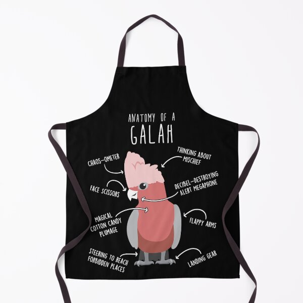 Item preview, Galah Cockatoo Anatomy designed and sold by Clara Hollins.
