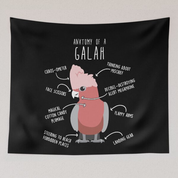 Item preview, Galah Cockatoo Anatomy designed and sold by Clara Hollins.