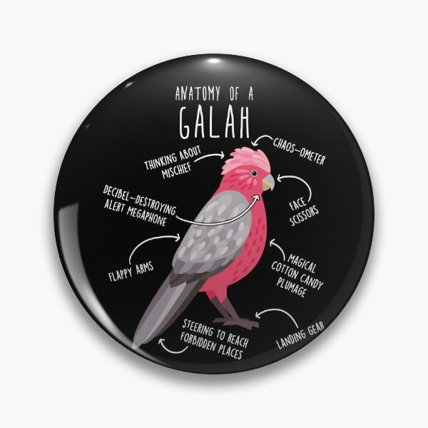 Item preview, Galah Cockatoo Anatomy designed and sold by Clara Hollins.