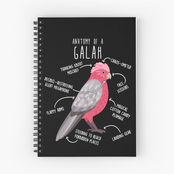 Item preview, Galah Cockatoo Anatomy designed and sold by Clara Hollins.