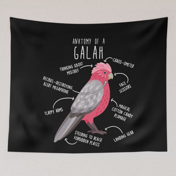 Item preview, Galah Cockatoo Anatomy designed and sold by Clara Hollins.