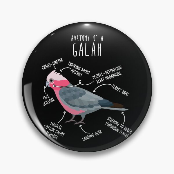 Item preview, Galah Cockatoo Anatomy designed and sold by Clara Hollins.