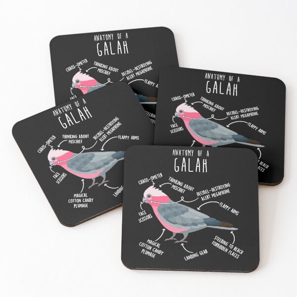 Item preview, Galah Cockatoo Anatomy designed and sold by Clara Hollins.