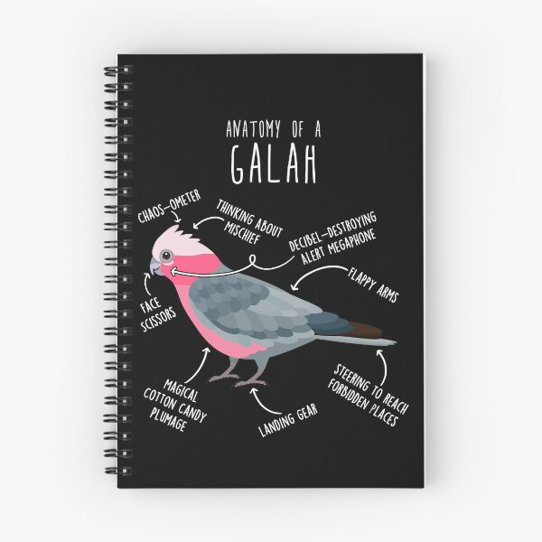 Item preview, Galah Cockatoo Anatomy designed and sold by Clara Hollins.