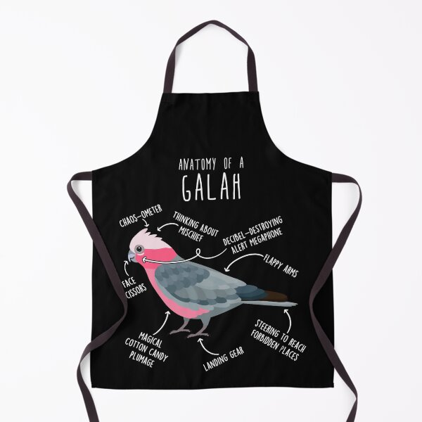 Item preview, Galah Cockatoo Anatomy designed and sold by Clara Hollins.