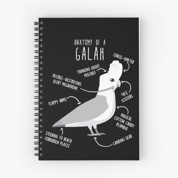 Item preview, Blue Galah Cockatoo Anatomy designed and sold by Clara Hollins.