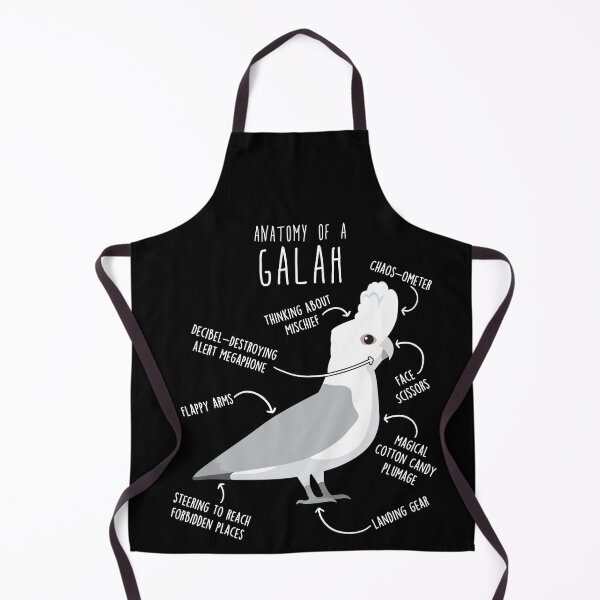 Item preview, Blue Galah Cockatoo Anatomy designed and sold by Clara Hollins.