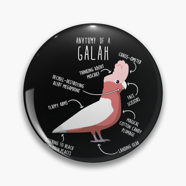 Item preview, Lutino Galah Cockatoo Anatomy designed and sold by Clara Hollins.