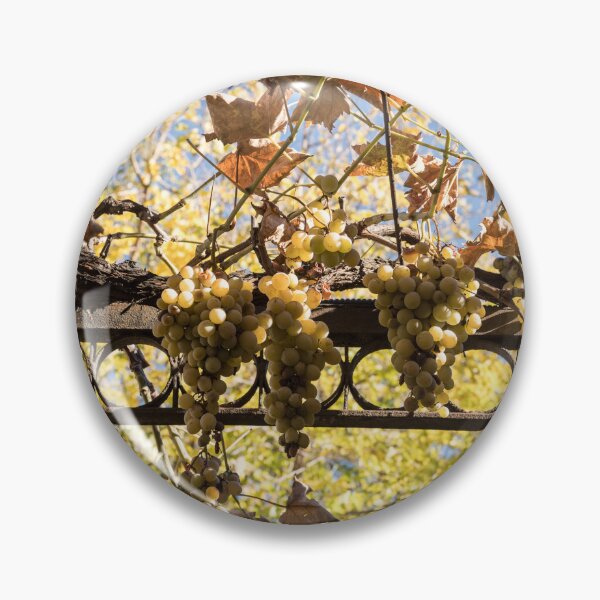 Item preview, Sunlit Grapevine With Autumn Leaves designed and sold by Georgia Mizuleva.