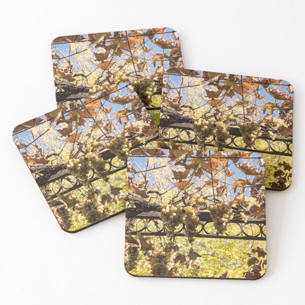 Item preview, Sunlit Grapevine With Autumn Leaves designed and sold by Georgia Mizuleva.