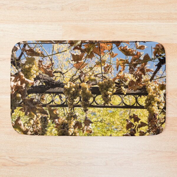 Item preview, Sunlit Grapevine With Autumn Leaves designed and sold by Georgia Mizuleva.