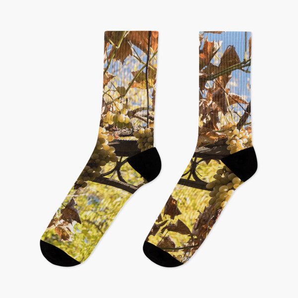 Item preview, Sunlit Grapevine With Autumn Leaves designed and sold by Georgia Mizuleva.