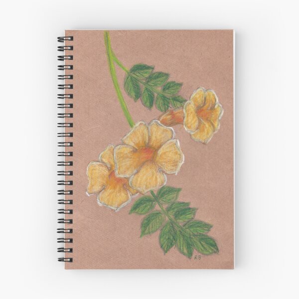 Item preview, Trumpet Vine Flower, Colored Pencil Drawing designed and sold by A_Guy_With_Art_Supplies.