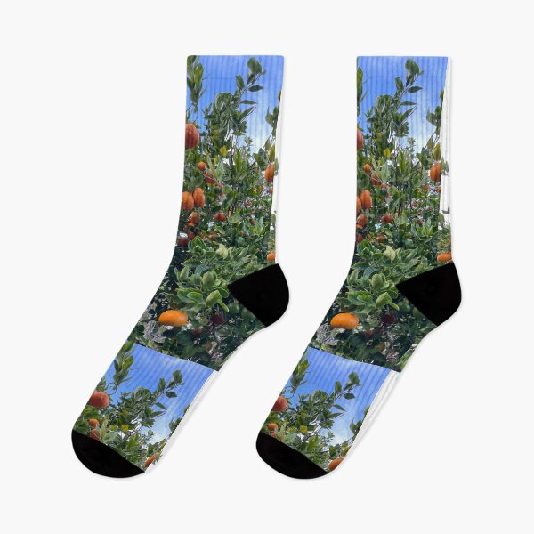 Item preview, Tangerine Tree with Ripe Fruit – Citrus Photography designed and sold by TrisaThyme.