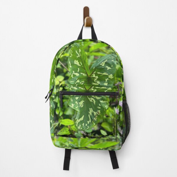 Item preview, Variegated Green Leaf – Tropical Plant Photography designed and sold by TrisaThyme.