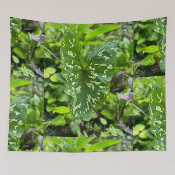 Item preview, Variegated Green Leaf – Tropical Plant Photography designed and sold by TrisaThyme.