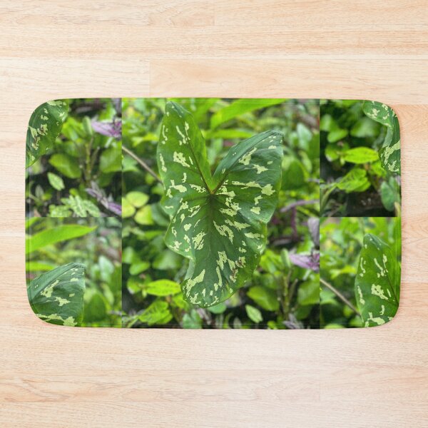 Item preview, Variegated Green Leaf – Tropical Plant Photography designed and sold by TrisaThyme.