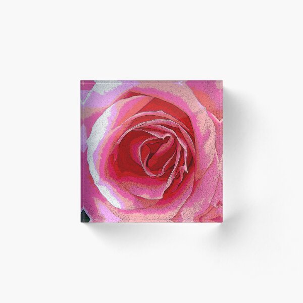 POP Rose Acrylic Block