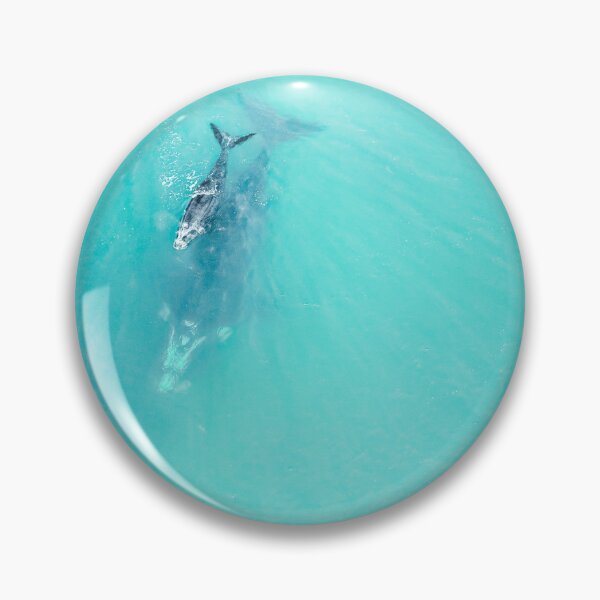 Item preview, Drone photo of Whale & Calf designed and sold by SauraLume.