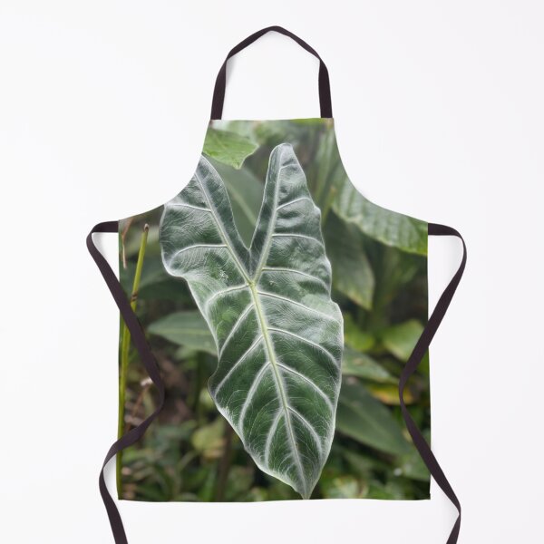 Item preview, Alocasia Elephant Ear Leaf – Tropical Jungle Plant Photography designed and sold by TrisaThyme.