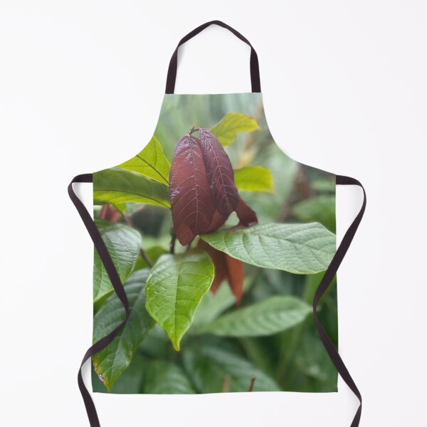 Item preview, Cacao Leaves – Tropical Chocolate Plant Photography designed and sold by TrisaThyme.