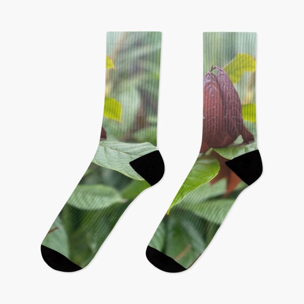 Item preview, Cacao Leaves – Tropical Chocolate Plant Photography designed and sold by TrisaThyme.