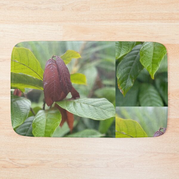 Item preview, Cacao Leaves – Tropical Chocolate Plant Photography designed and sold by TrisaThyme.