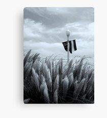 seagrass Canvas Print