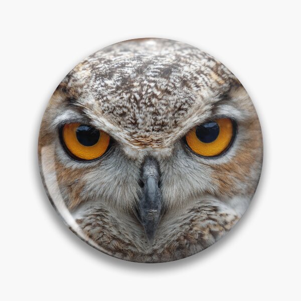 Item preview, Owl designed and sold by Savannah Gibbs.