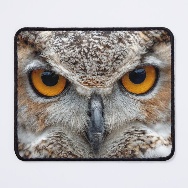 Item preview, Owl designed and sold by Savannah Gibbs.
