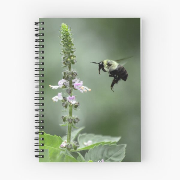 Item preview, Bee and Holy Basil designed and sold by StampCity.