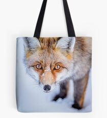 Bolsa de tela Curioso Fox