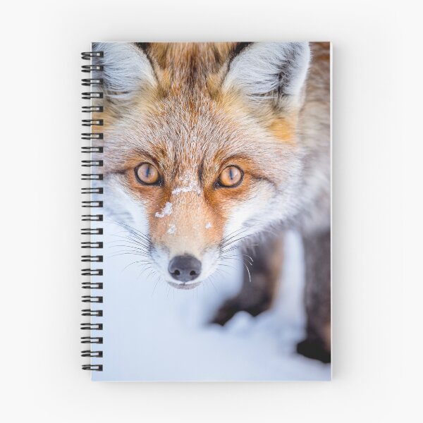 Item preview, Curious Fox designed and sold by Patrice Mestari.